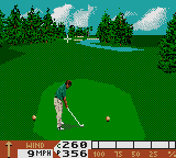 PGA Tour 96